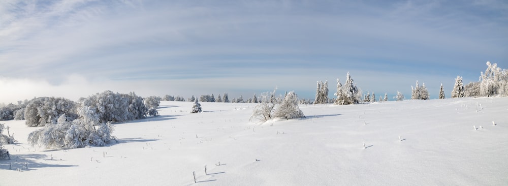 snow covered field under blue sky during daytime