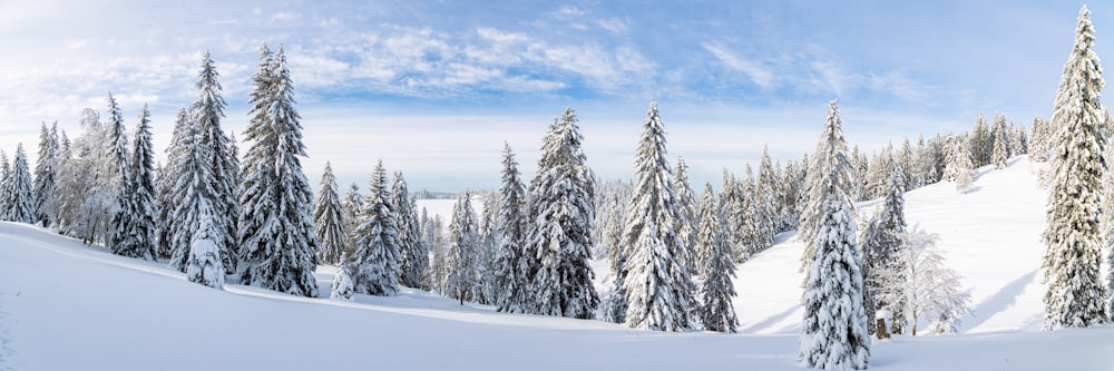 a person riding skis on a snowy surface