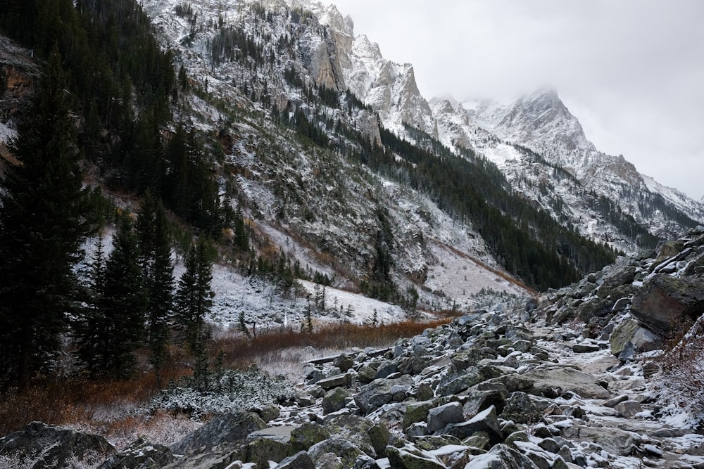 gray rocky mountain near body of water during daytime