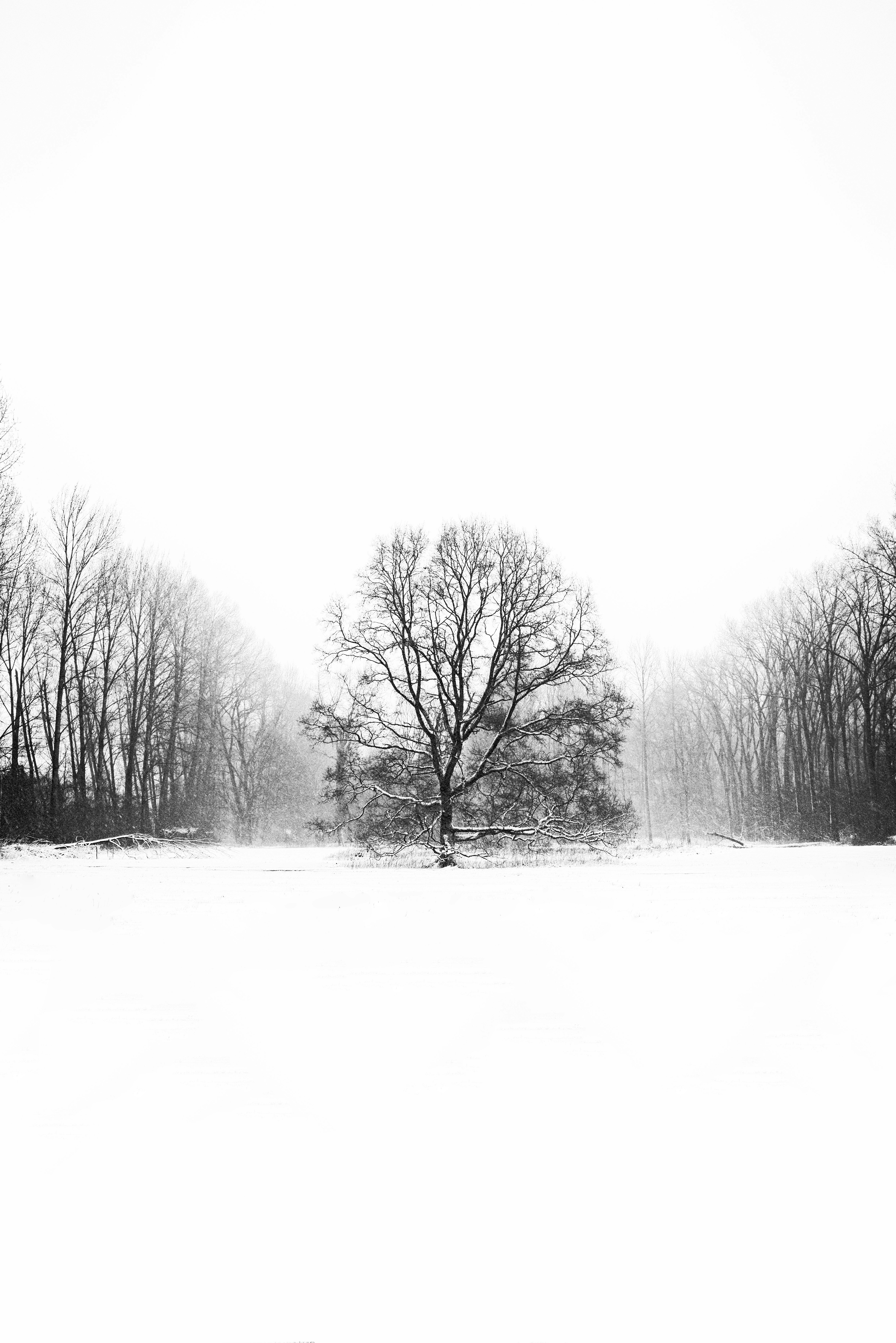 Photo by switch_dtp_fotografie