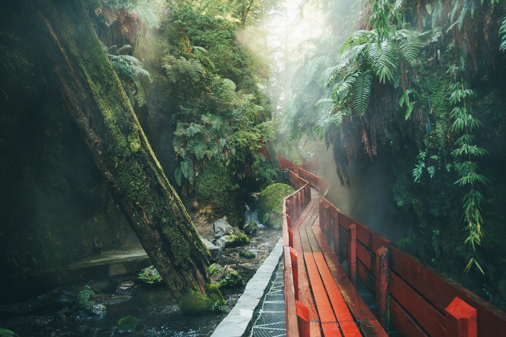 brown wooden bridge over river