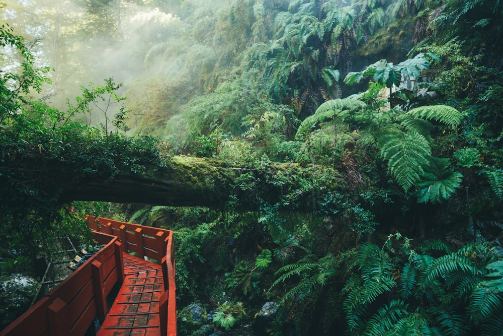 valla de madera marrón cerca de árboles verdes y montaña durante el día