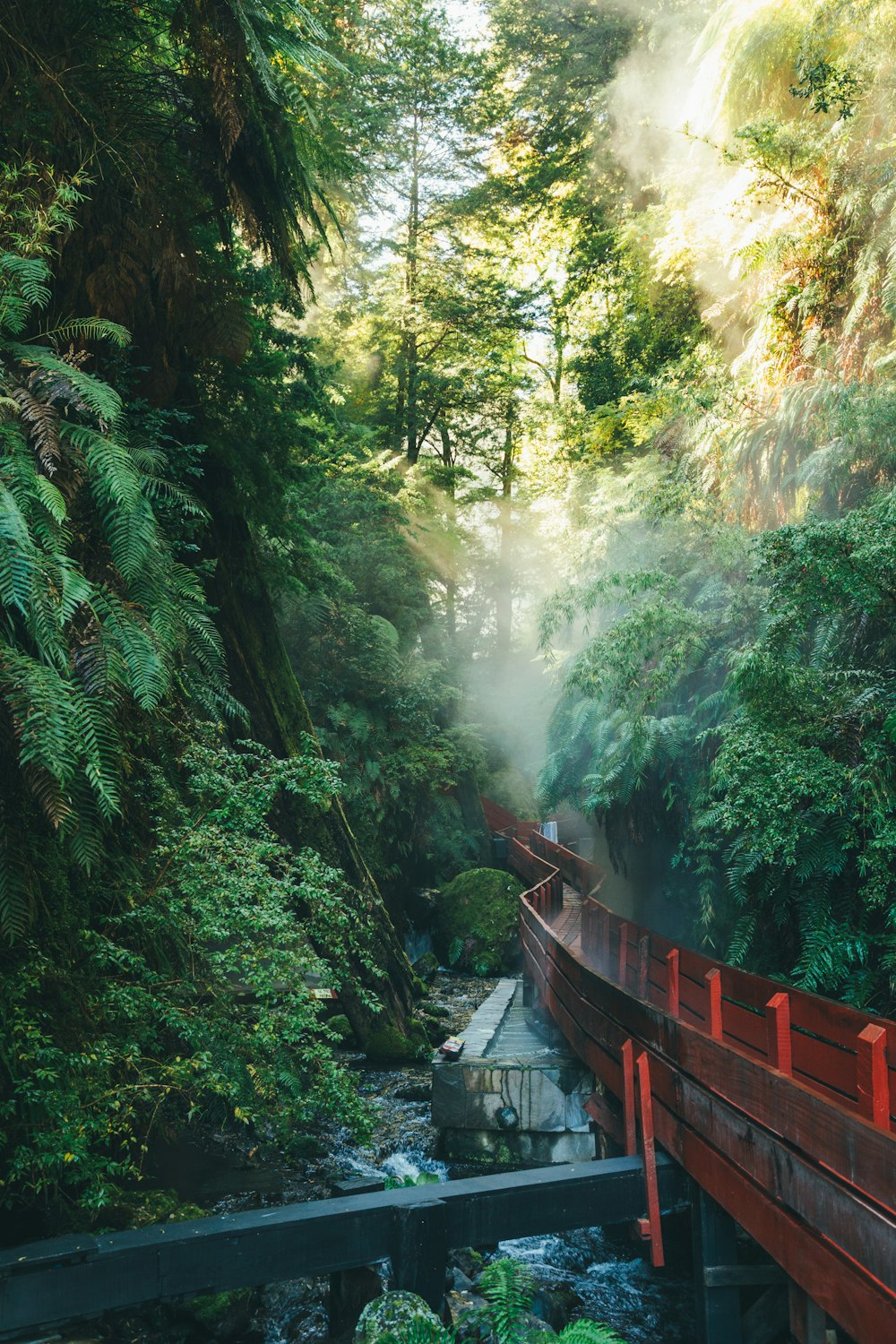 Puente de madera roja en medio de árboles verdes