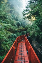 red wooden bridge over river