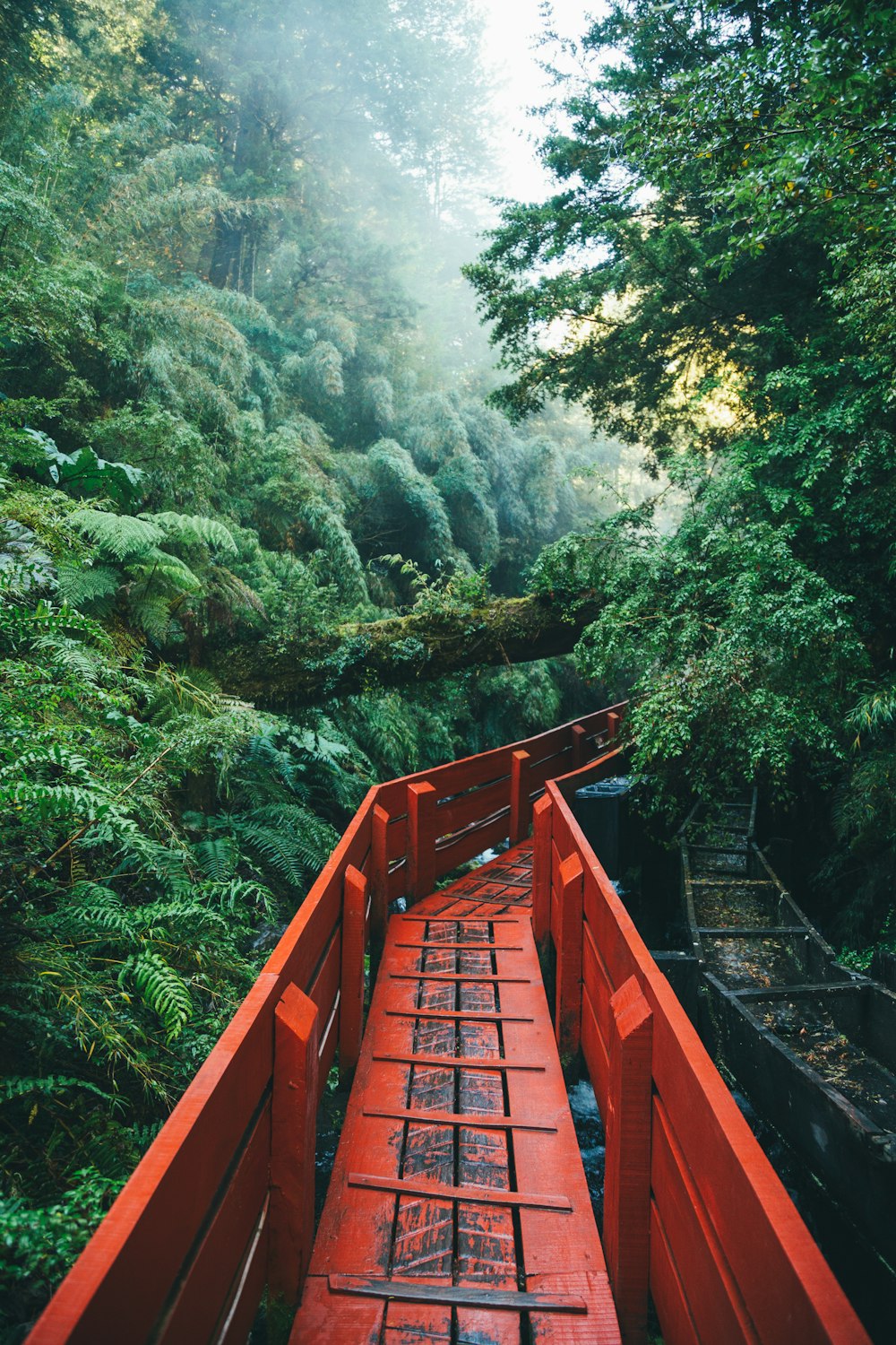 red wooden bridge over river