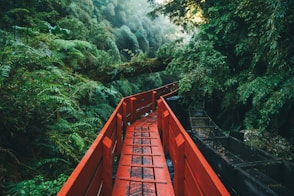 red metal bridge over river