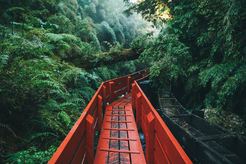 red metal bridge over river