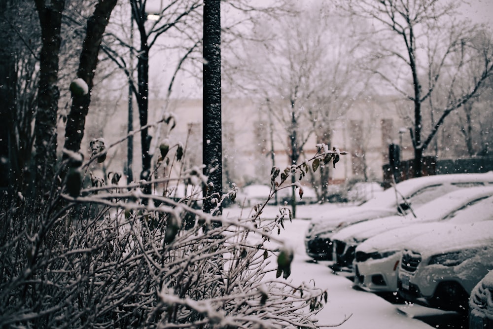 a bunch of cars that are parked in the snow