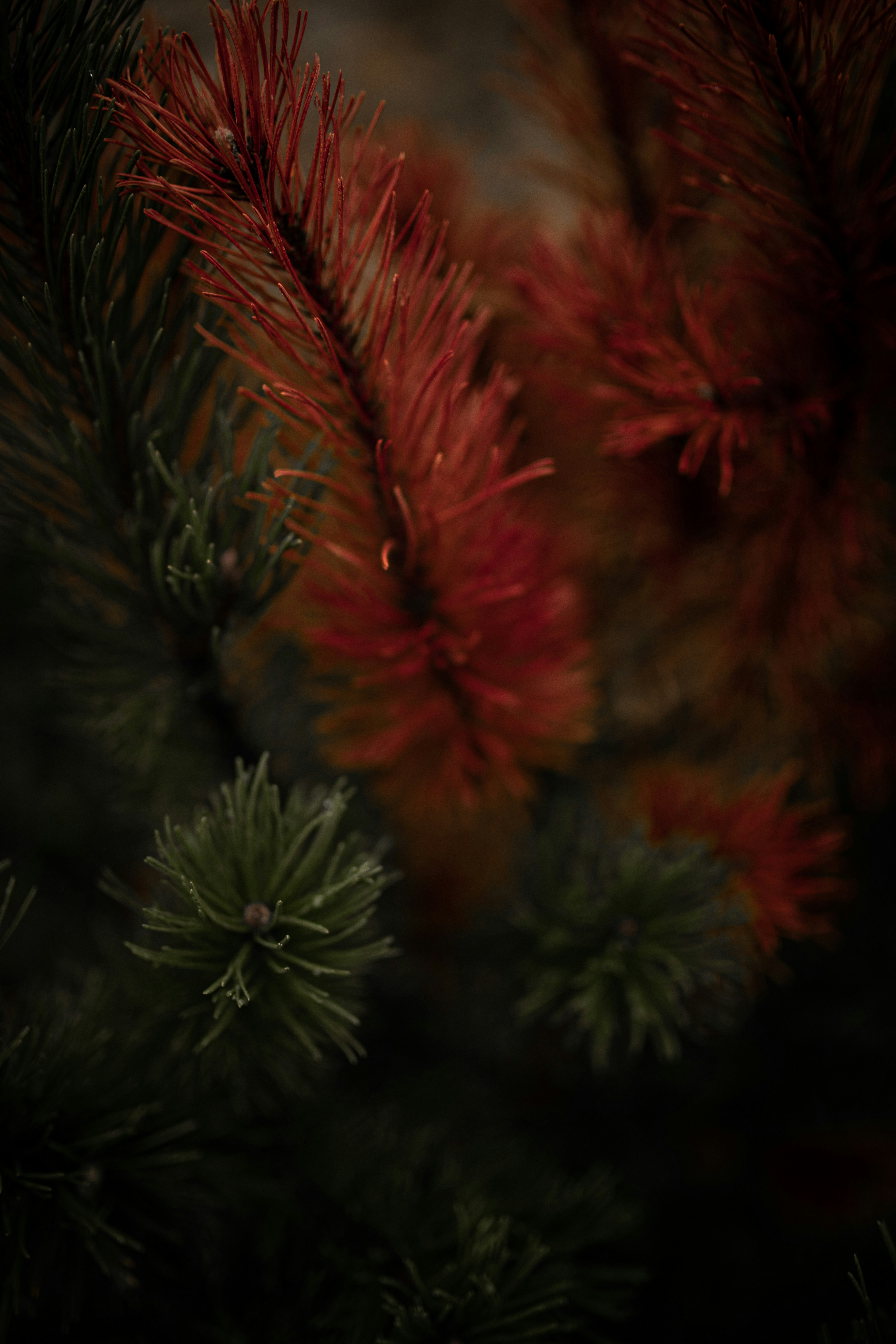 Photo by kajareichardtphotos