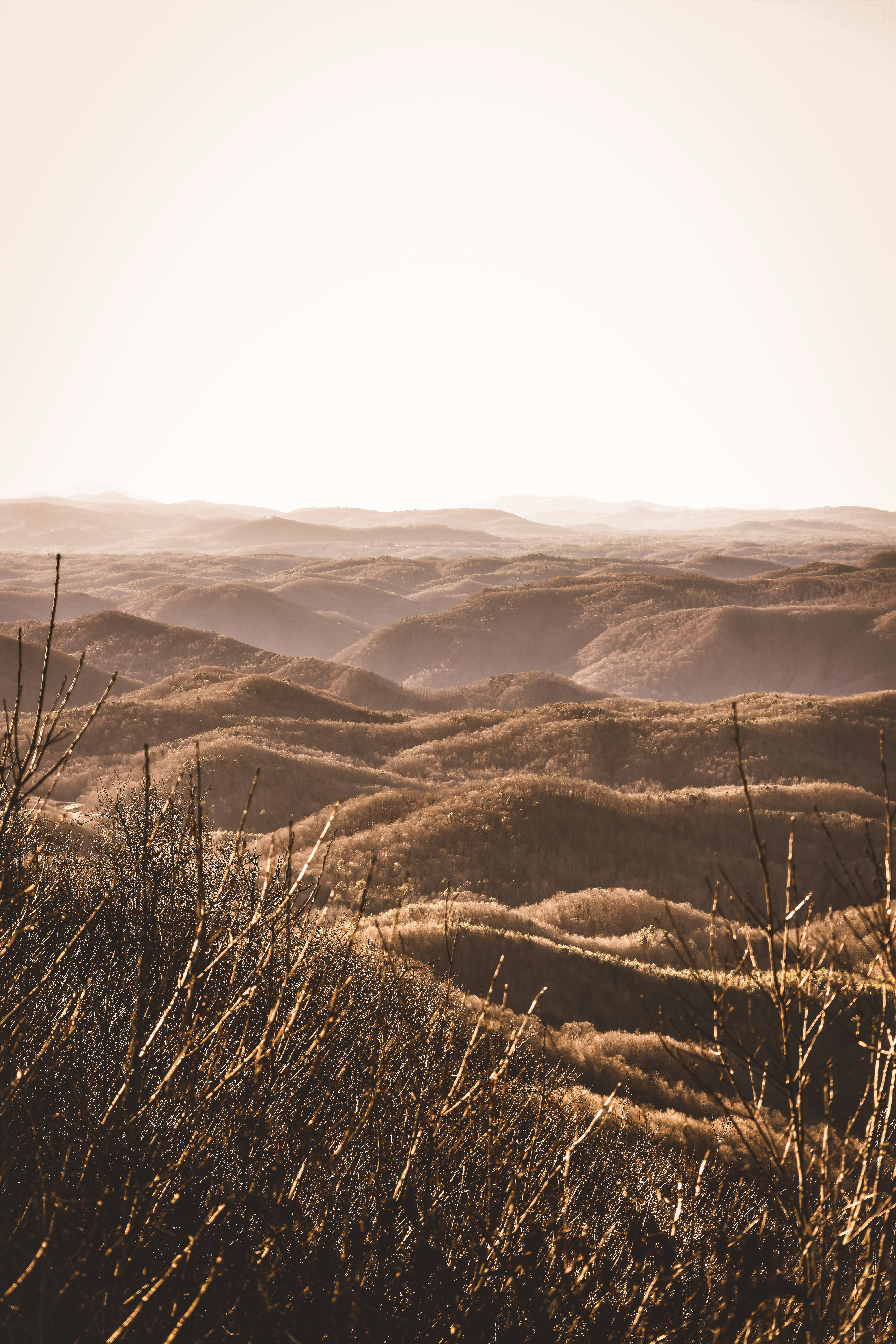 Photo by taylor_smith