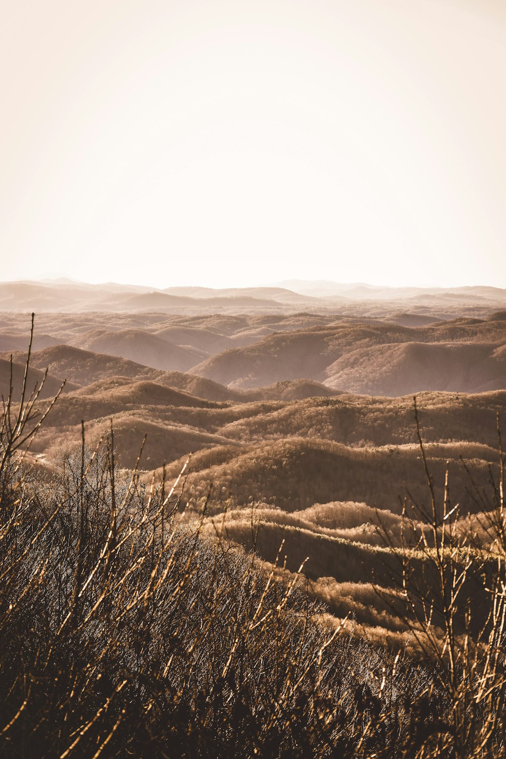 brown grass field during daytime