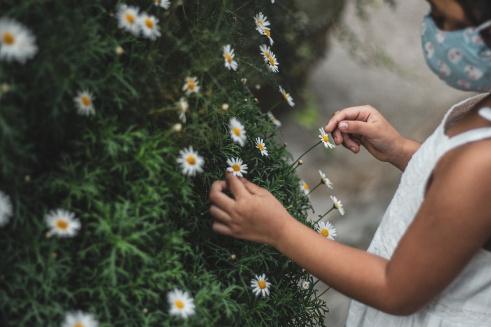 person holding white and yellow flowers