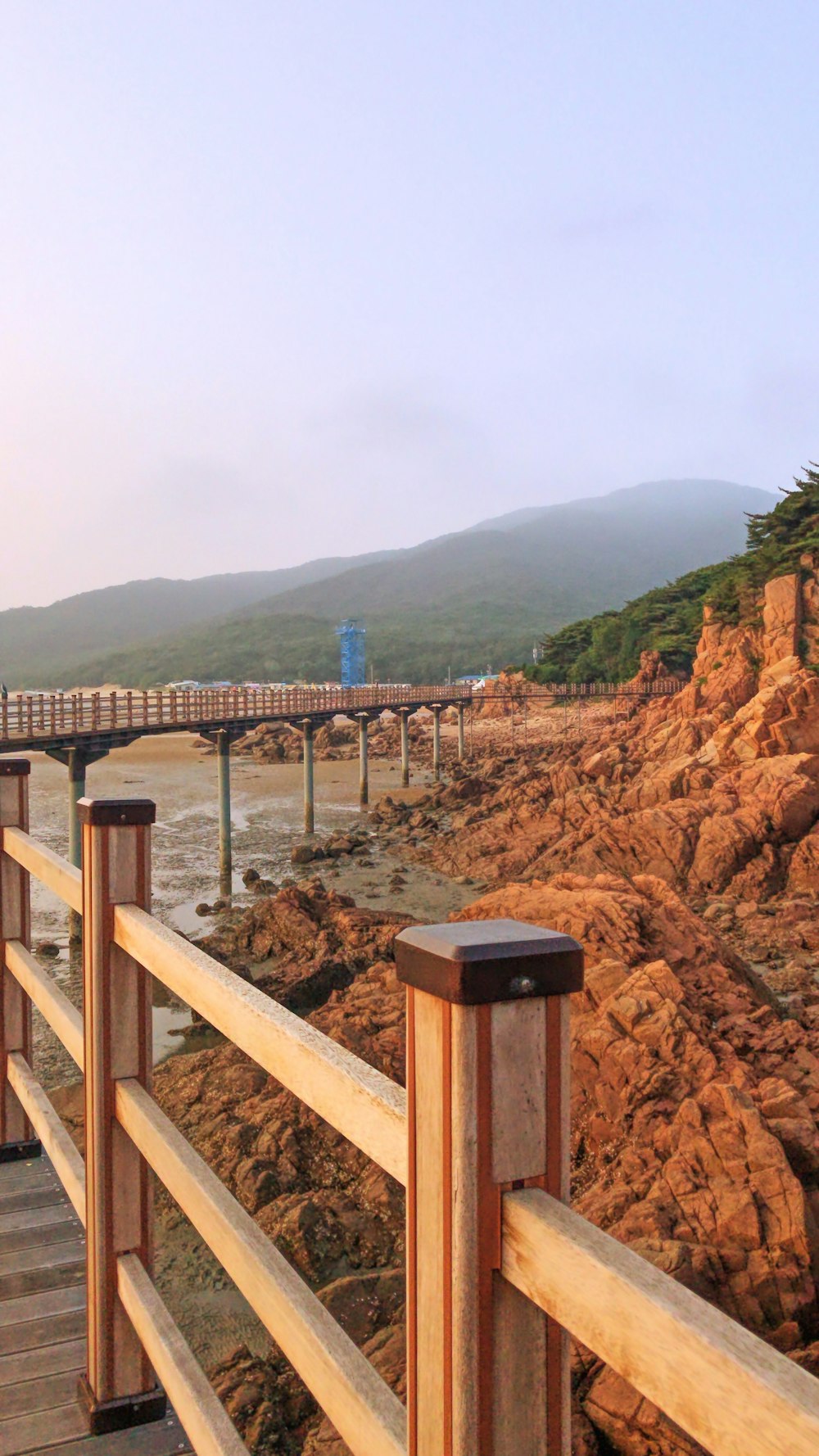 brown wooden bridge over the river