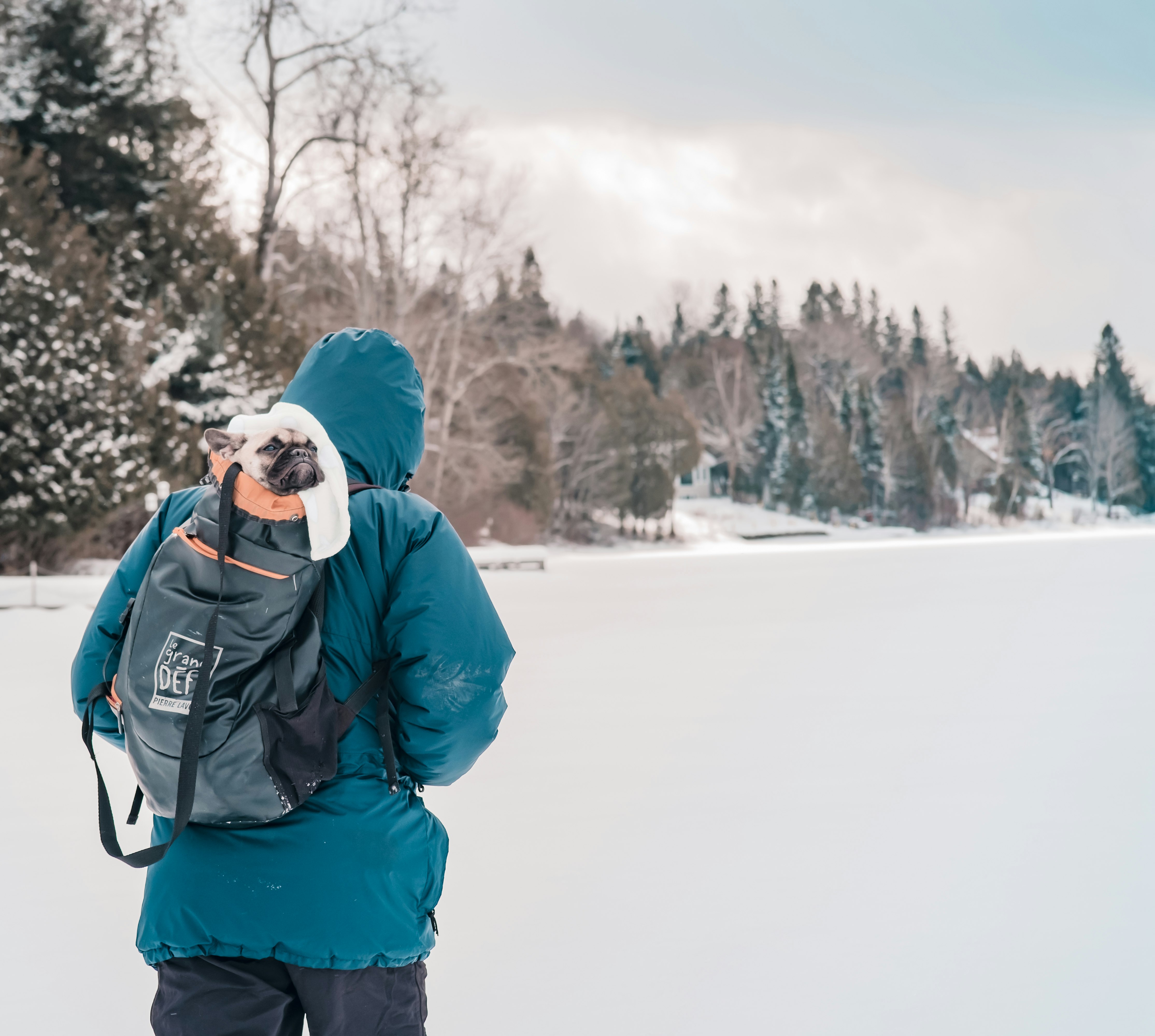 man in blue jacket and blue knit cap standing on snow covered ground during daytime