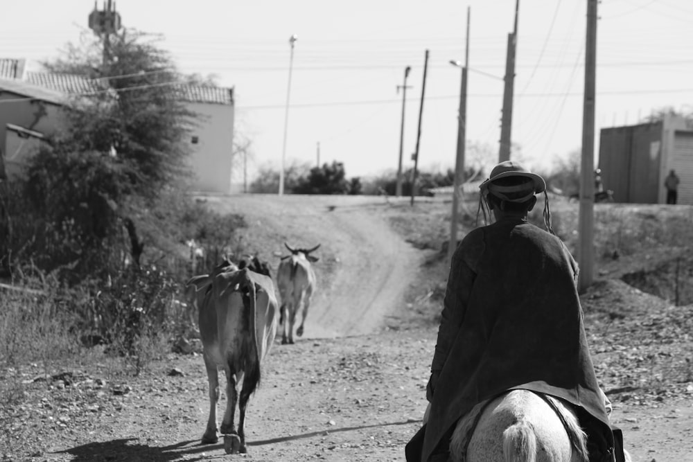 grayscale photo of man in black jacket and hat riding cow