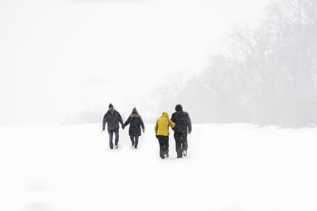 group of people walking on snow covered ground during daytime