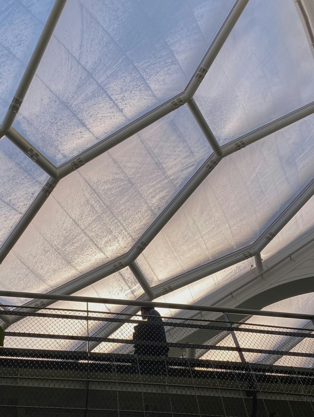 white metal framed glass roof