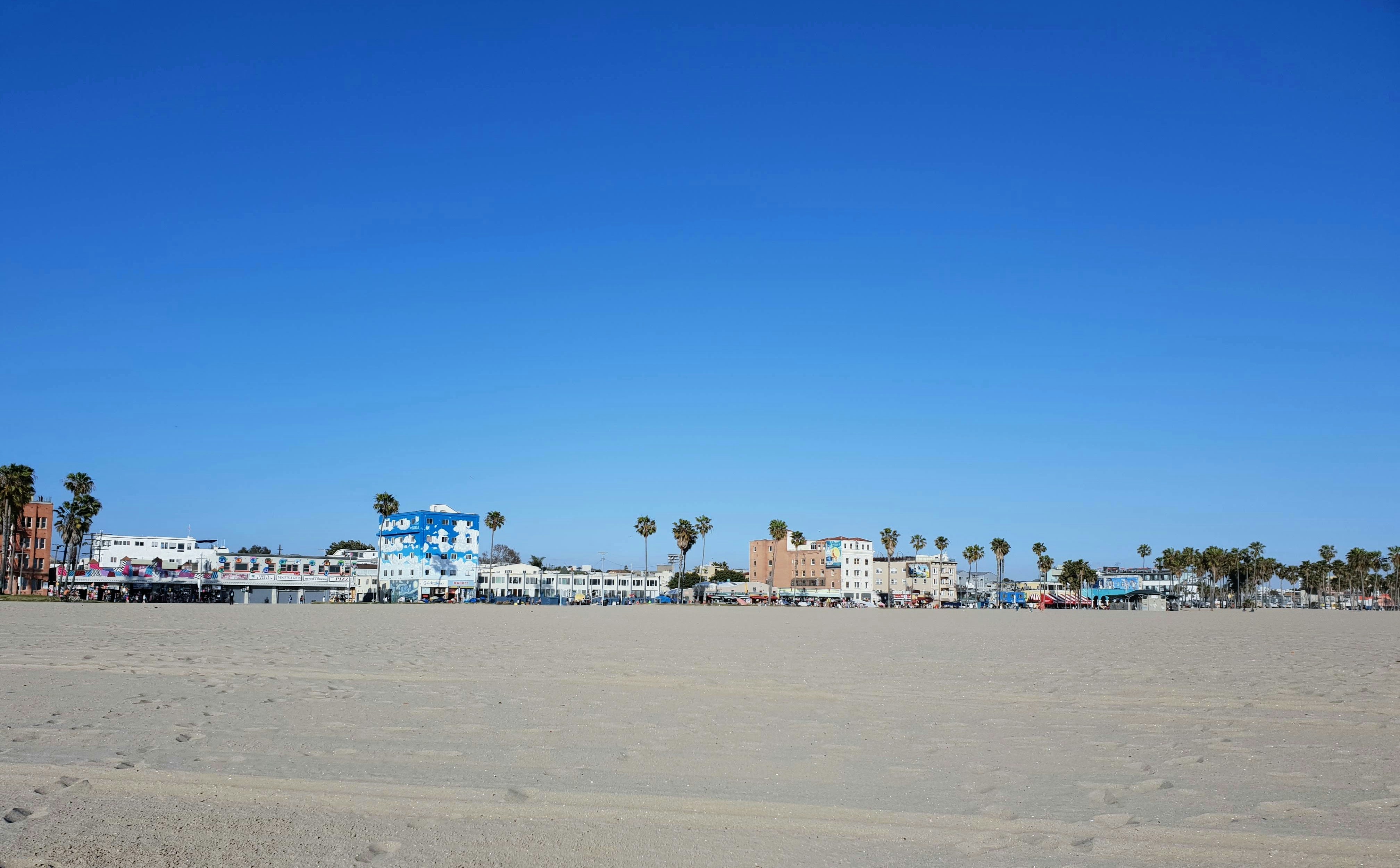 people on beach during daytime