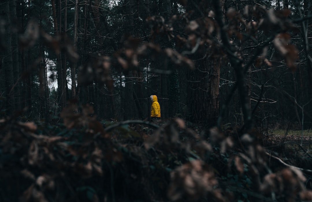 person in yellow jacket standing on forest during daytime