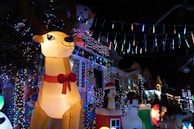 A nighttime scene featuring festive holiday decorations. An inflatable reindeer wearing a red bow is prominently displayed, surrounded by colorful lights. Other inflatable figures include a snowman and a penguin, enhancing the cheerful atmosphere. The houses in the background are adorned with strings of vibrant Christmas lights.