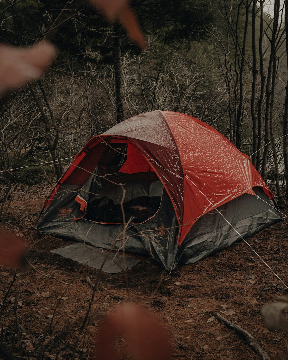 red and black tent on brown soil