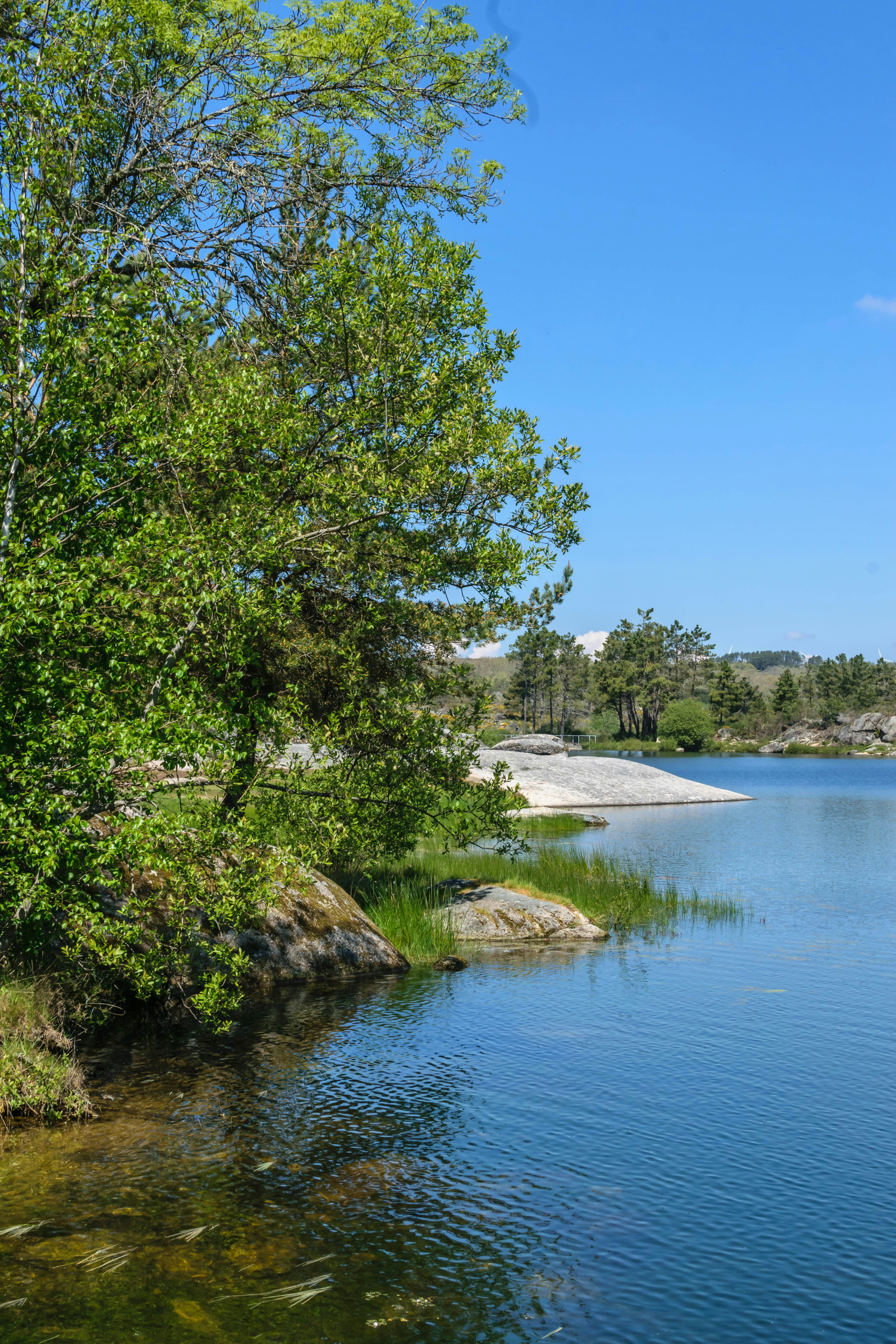 Photo by miguelcoelhophotos