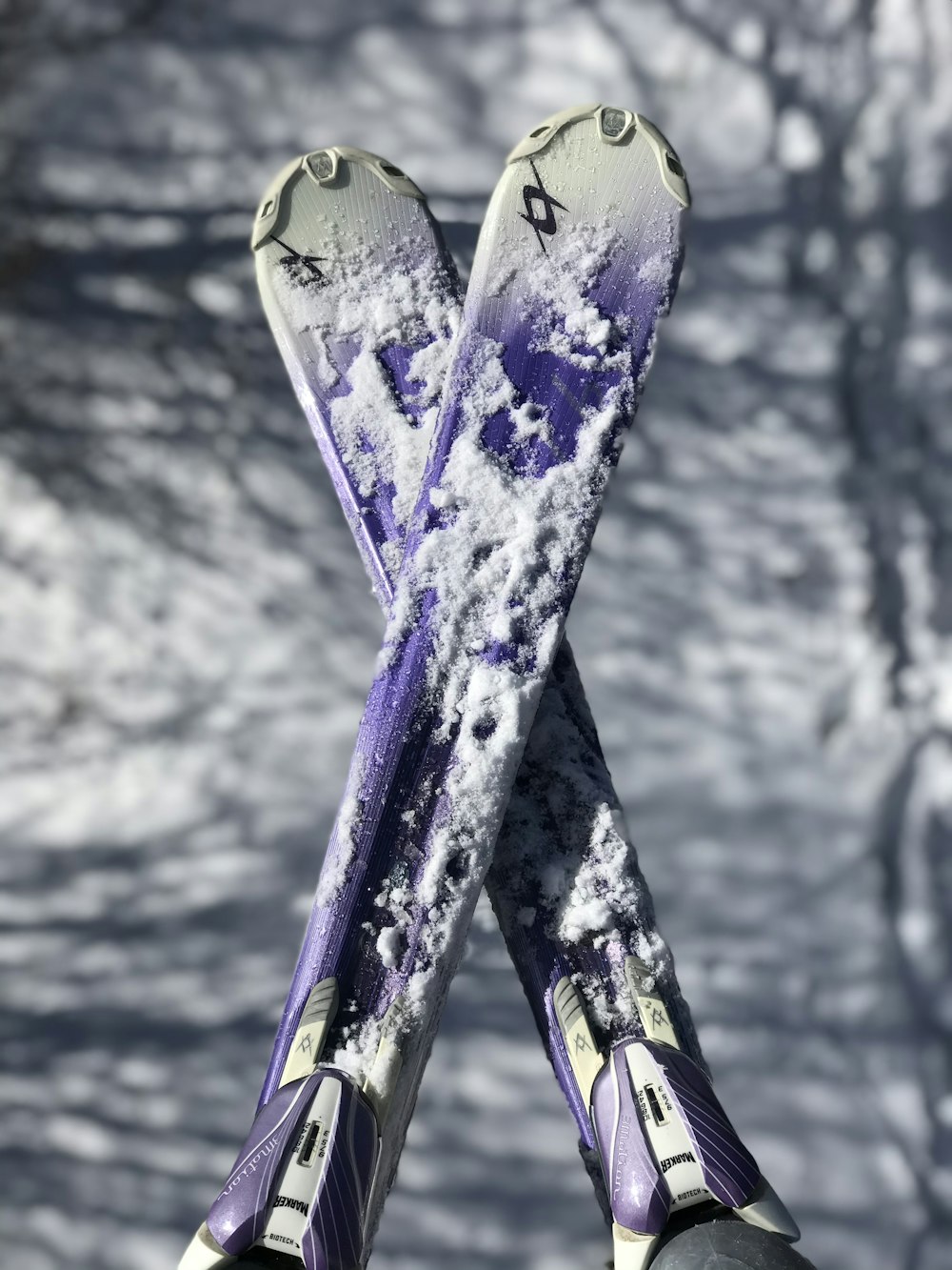 blue and white snow ski blades