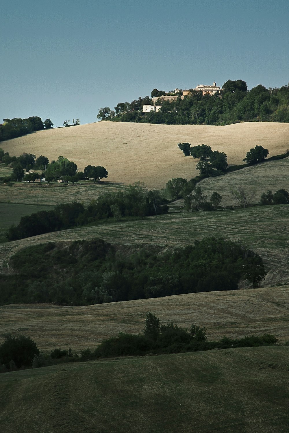 campo di erba verde durante il giorno