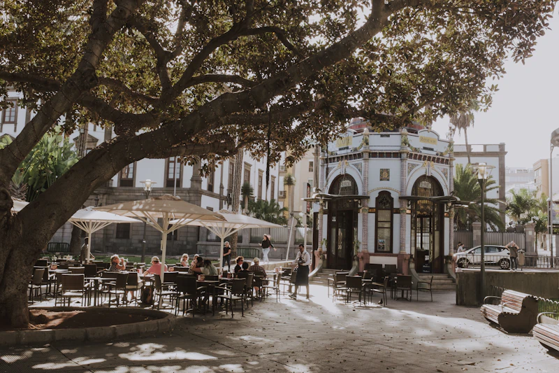 Best Live Music Bars in Gran Canaria for a Proper Night Out
