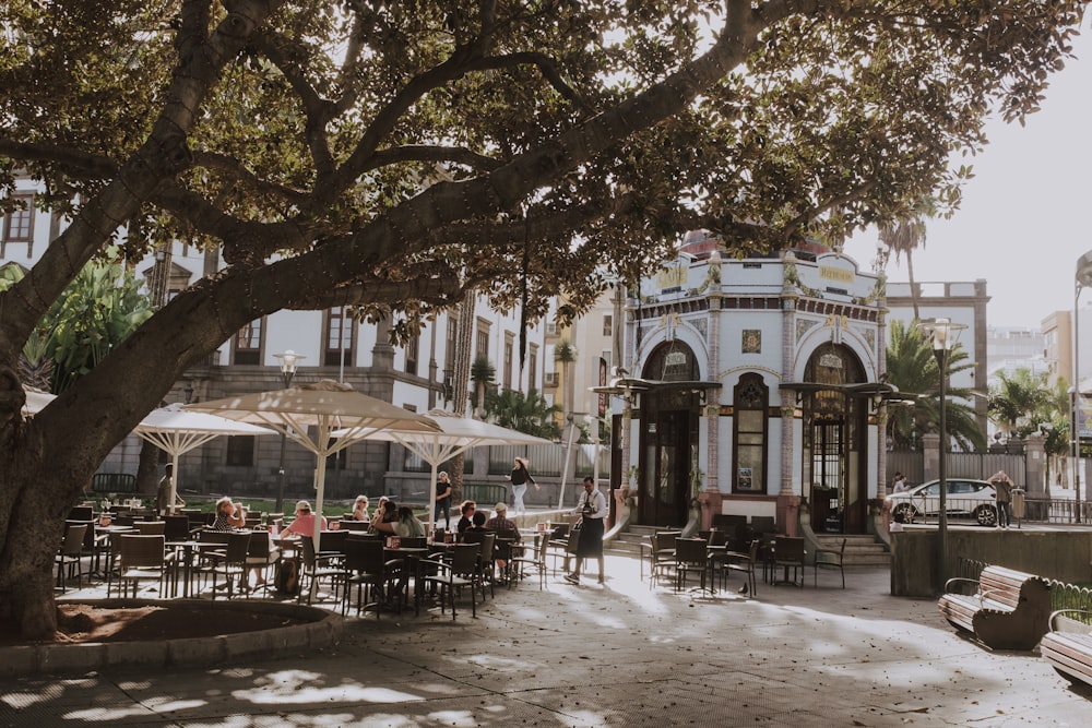 a group of people sitting at tables under a tree