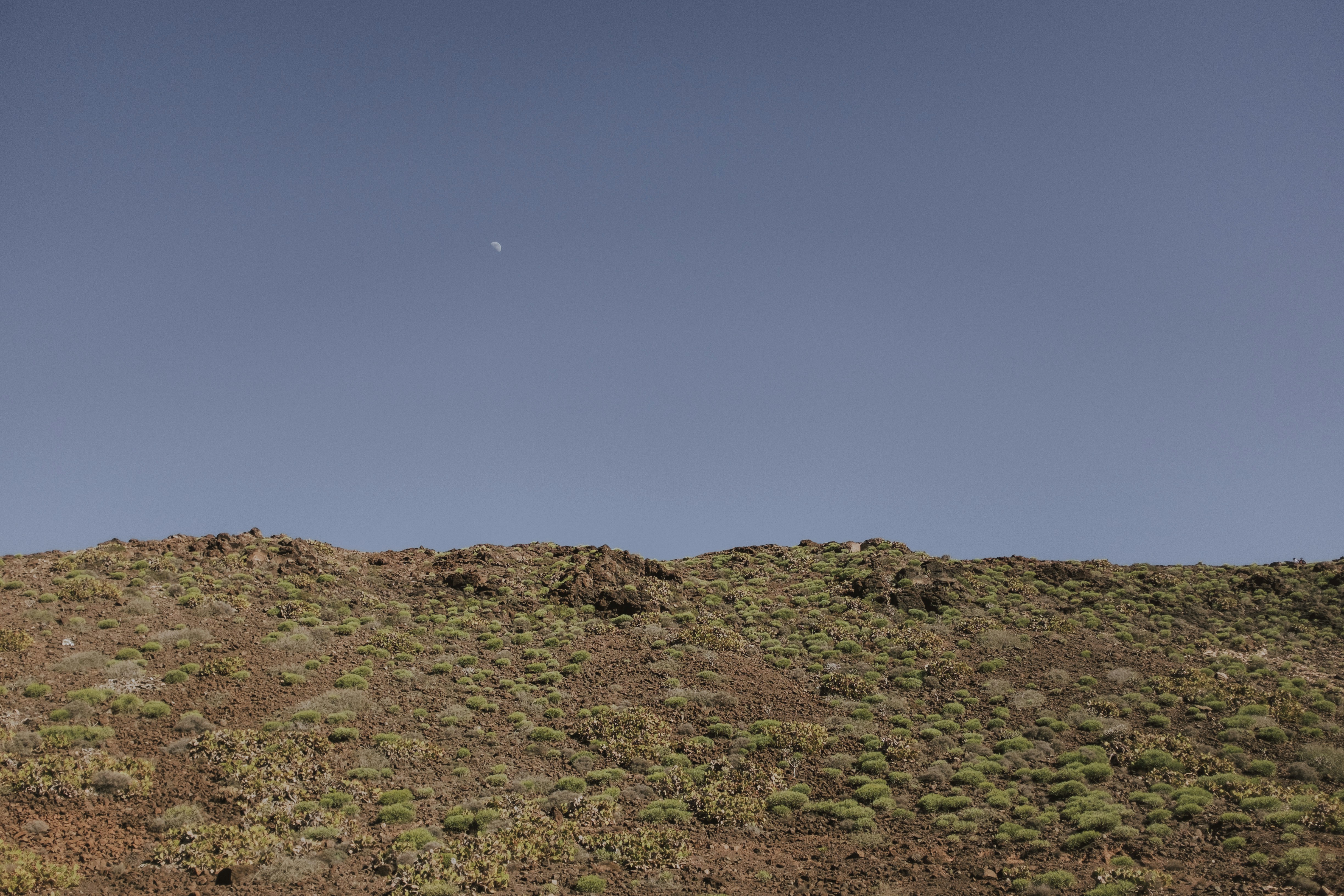 green grass field under blue sky during daytime