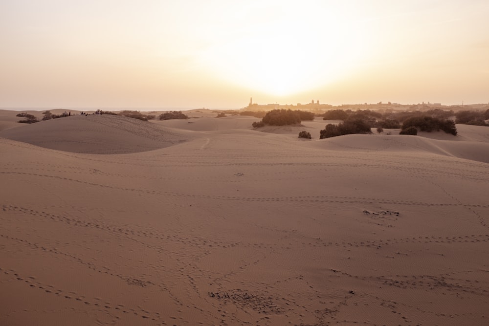 white sand under blue sky during daytime