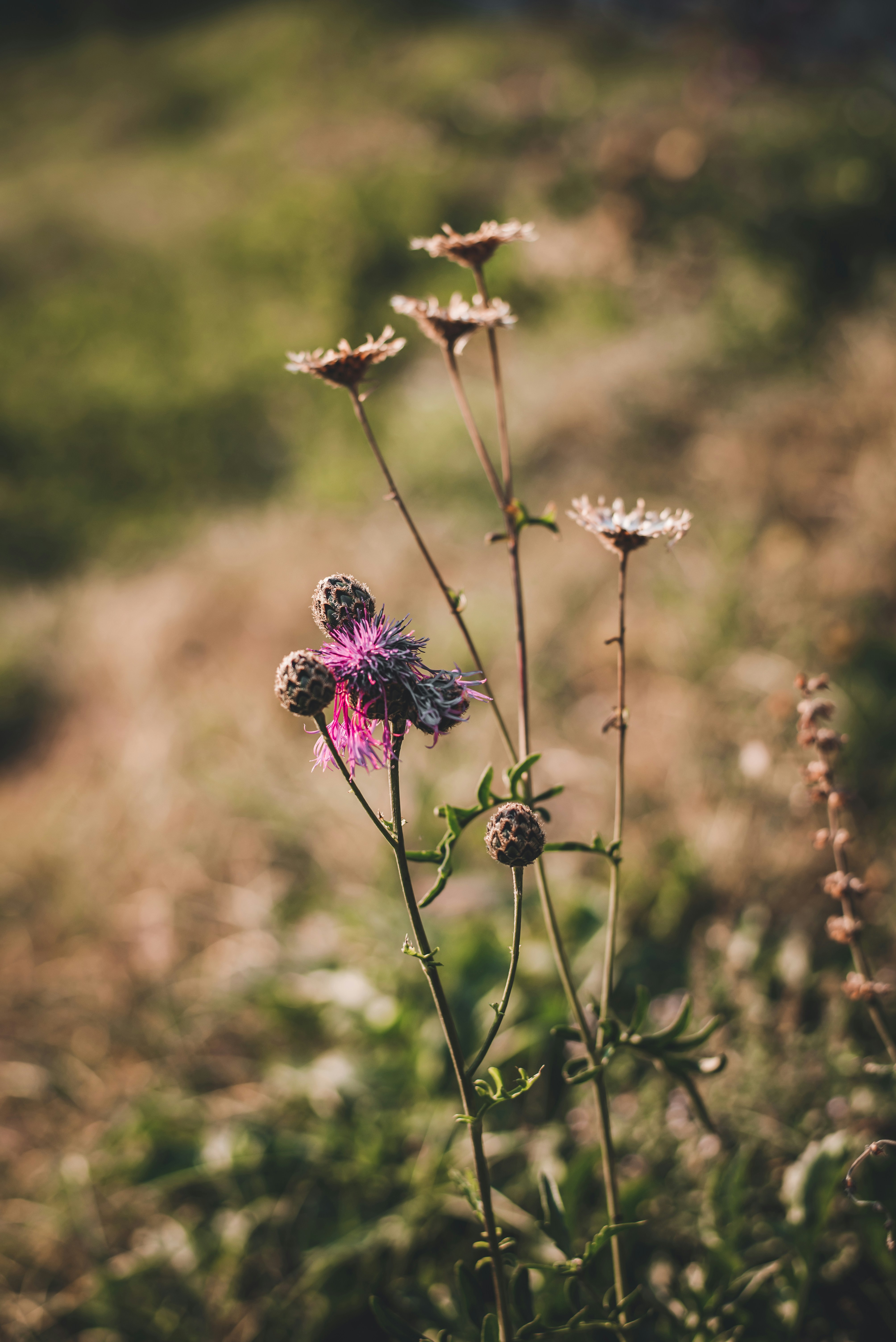 Photo by klarsichtphotography