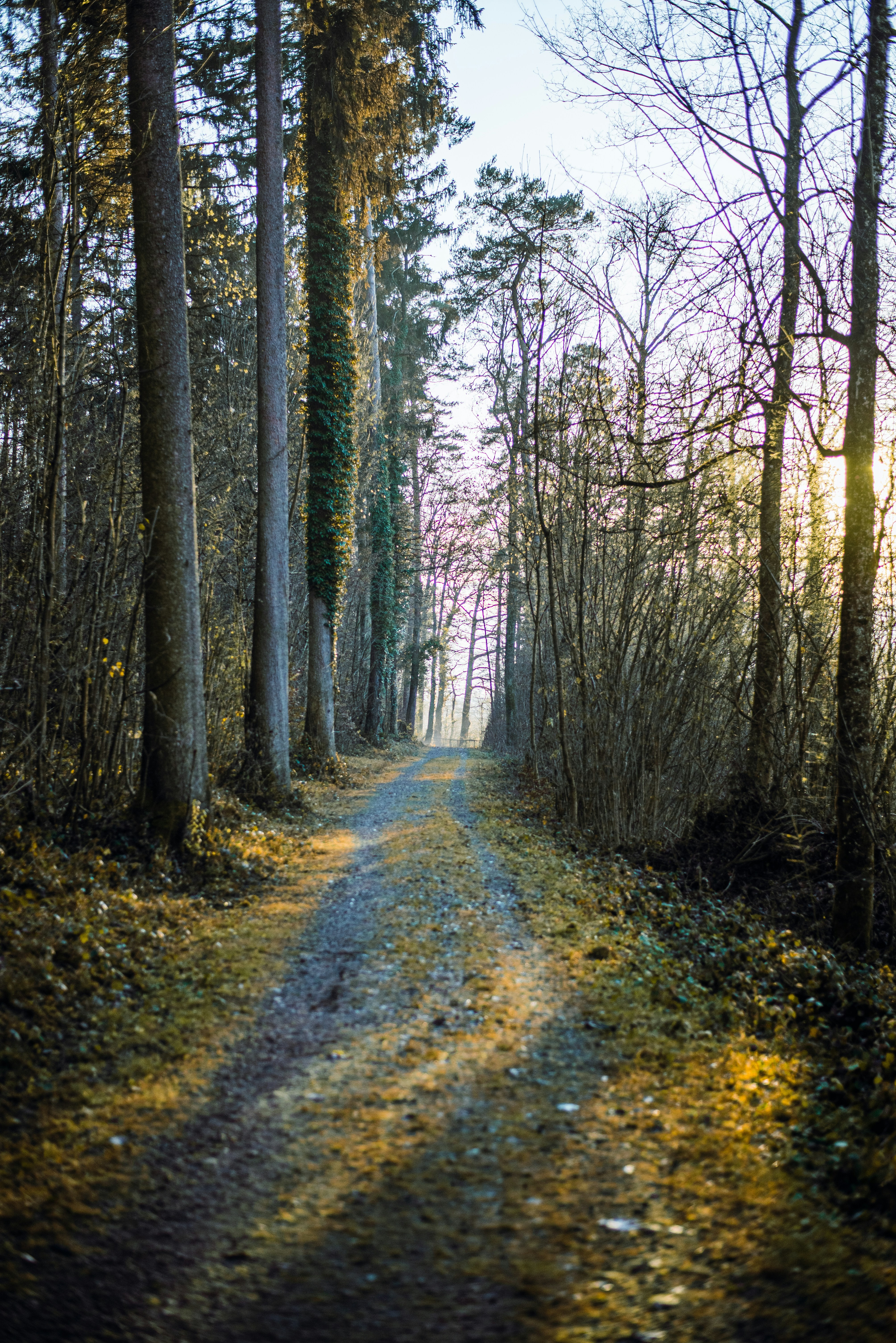 Photo by klarsichtphotography