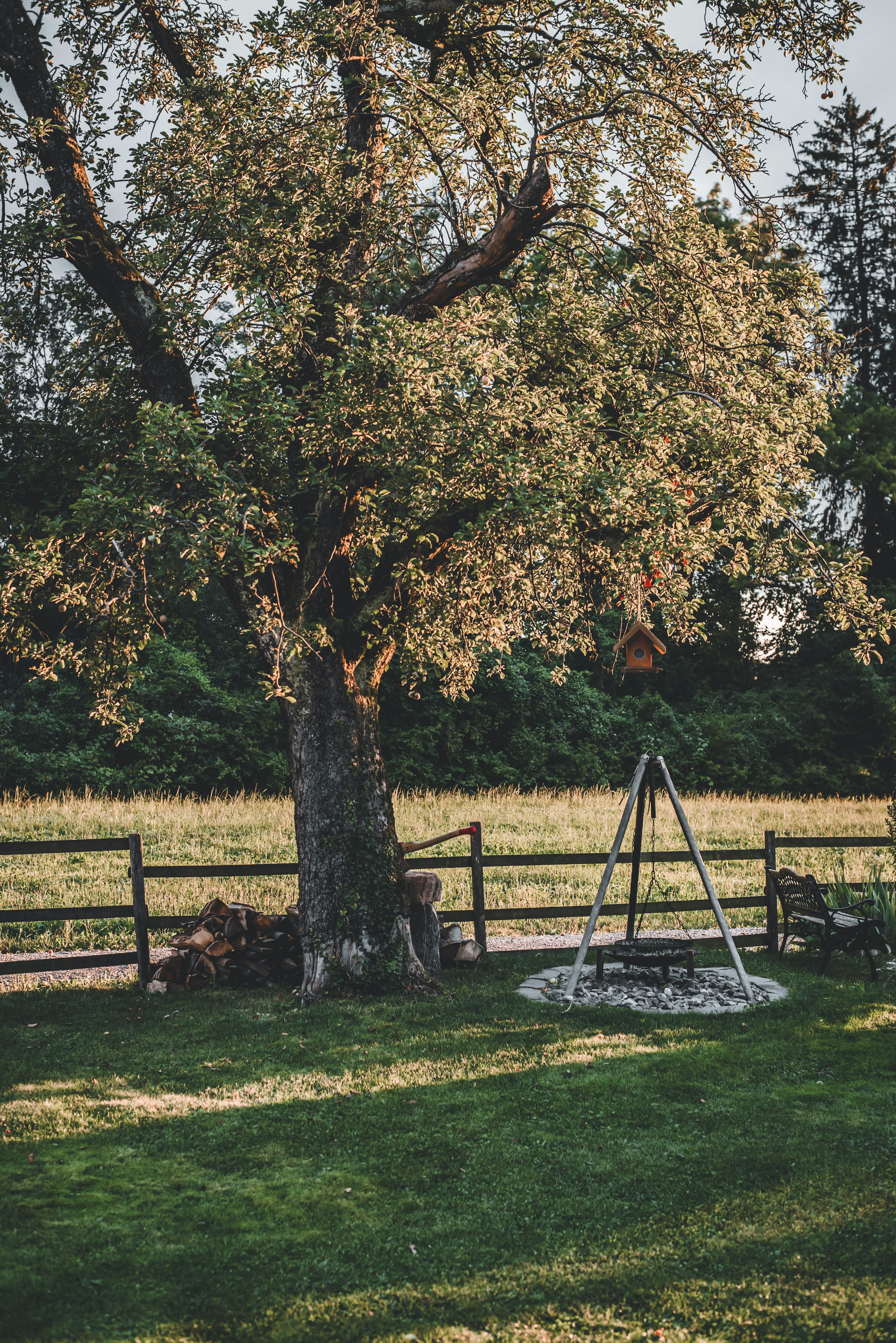 Photo by klarsichtphotography