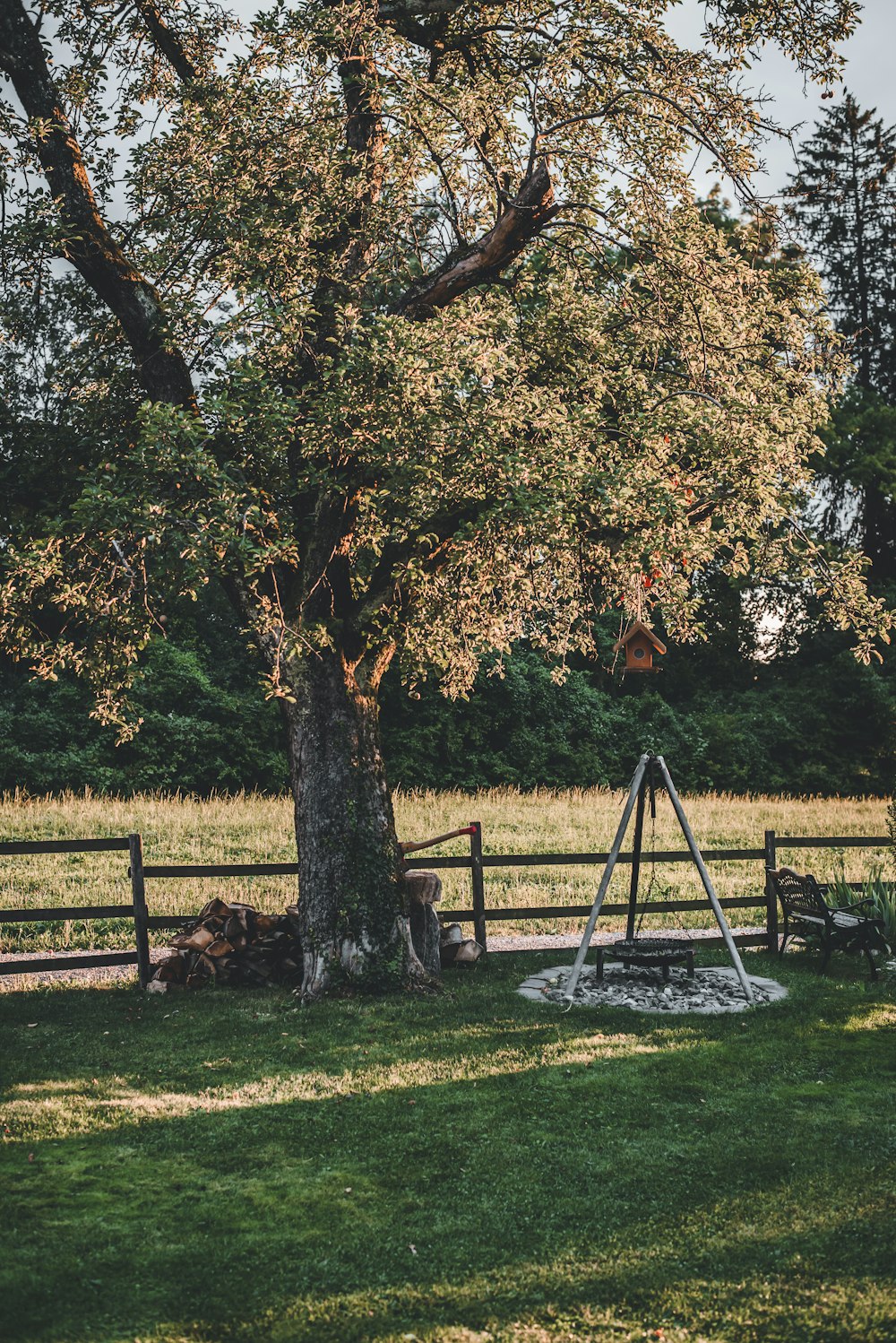 brown wooden swing bench on green grass field