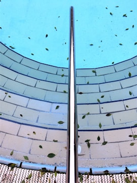 Close-up of a colorful pool strainer filled with leaves and debris.