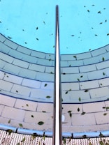 A swimming pool with clear blue water is bordered by semi-circular tiled steps. Fallen leaves are scattered both in the pool and on the steps. A metal handrail extends vertically through the center of the image, offering symmetry.