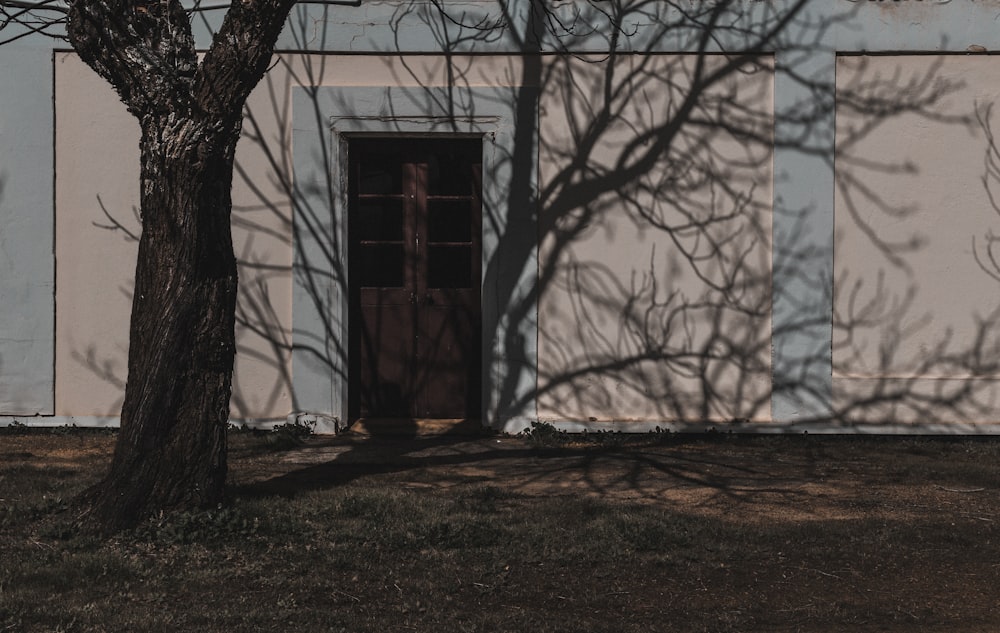 brown wooden door in white concrete building