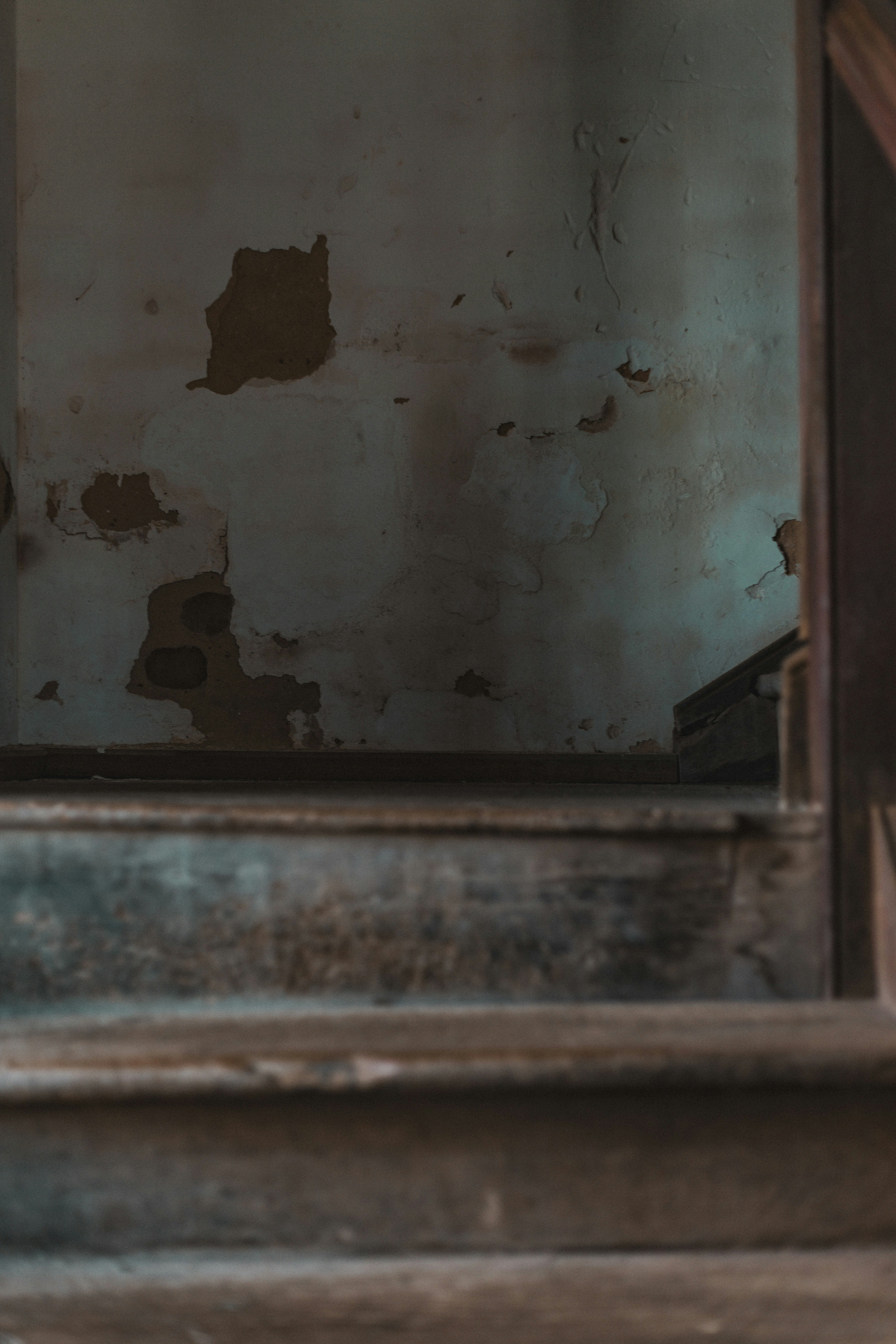 Photo by i_am_simoesse