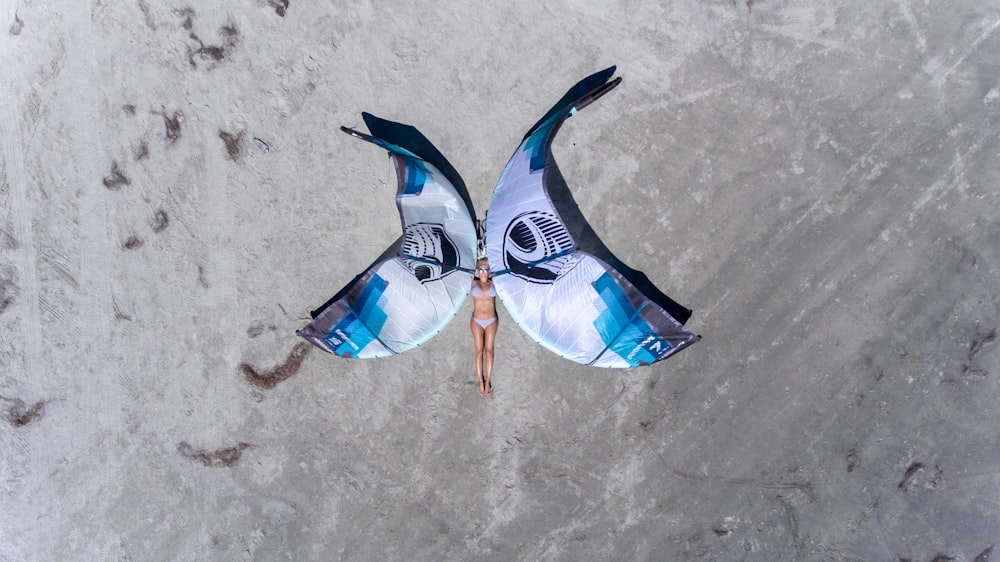 blue and white bird figurine