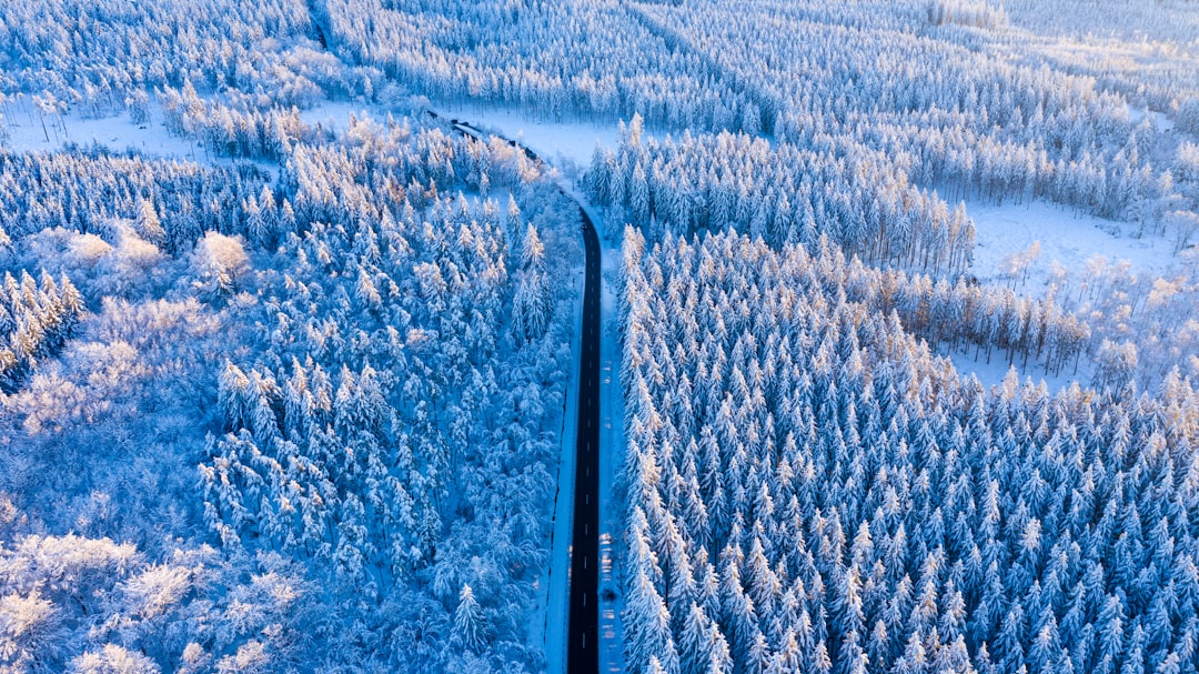 aerial view of green trees and snow covered field during daytime