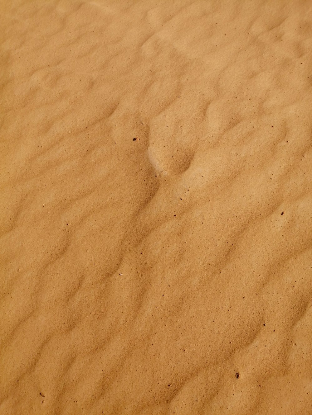 사람의 그림자가 있는 갈색 모래