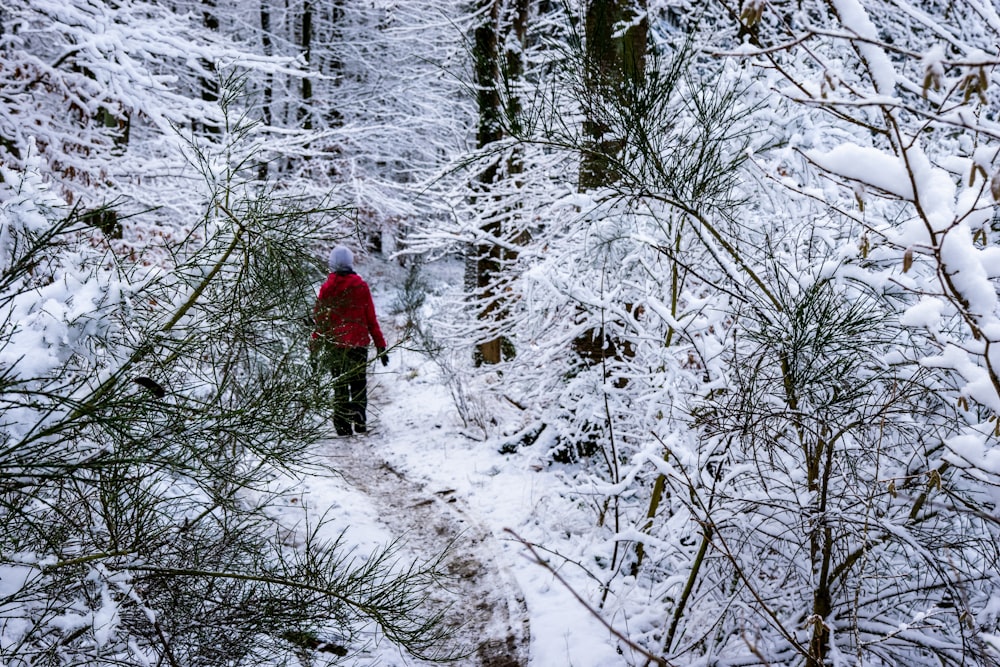 person in red jacket walking on snow covered ground during daytime