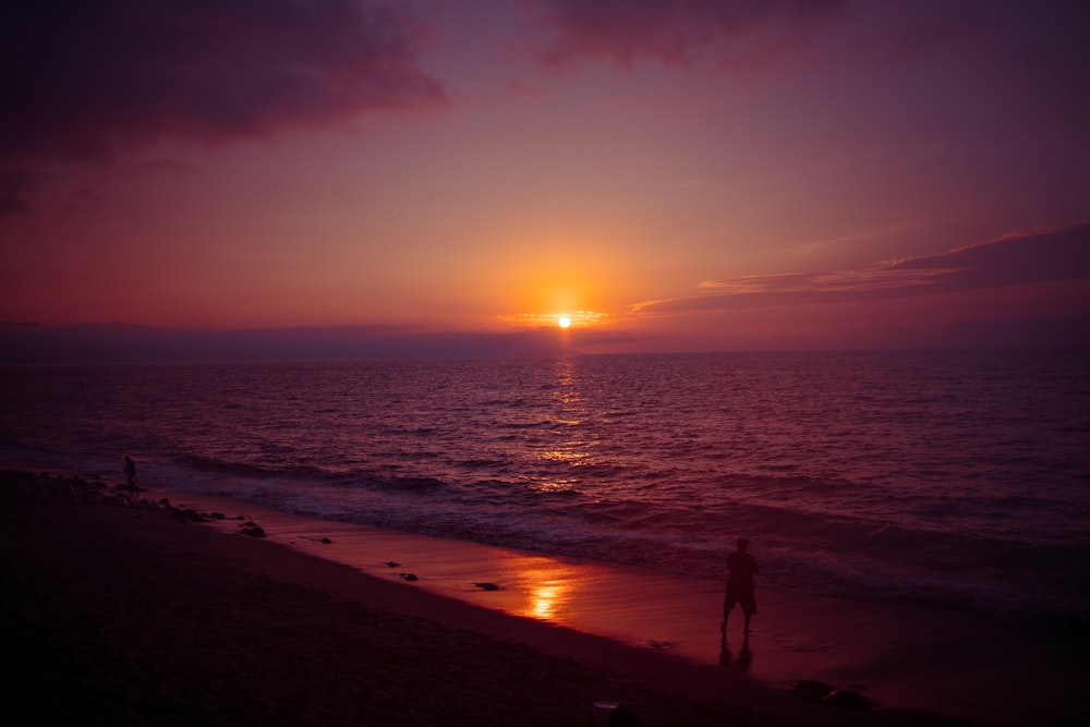 silhouette of people on beach during sunset