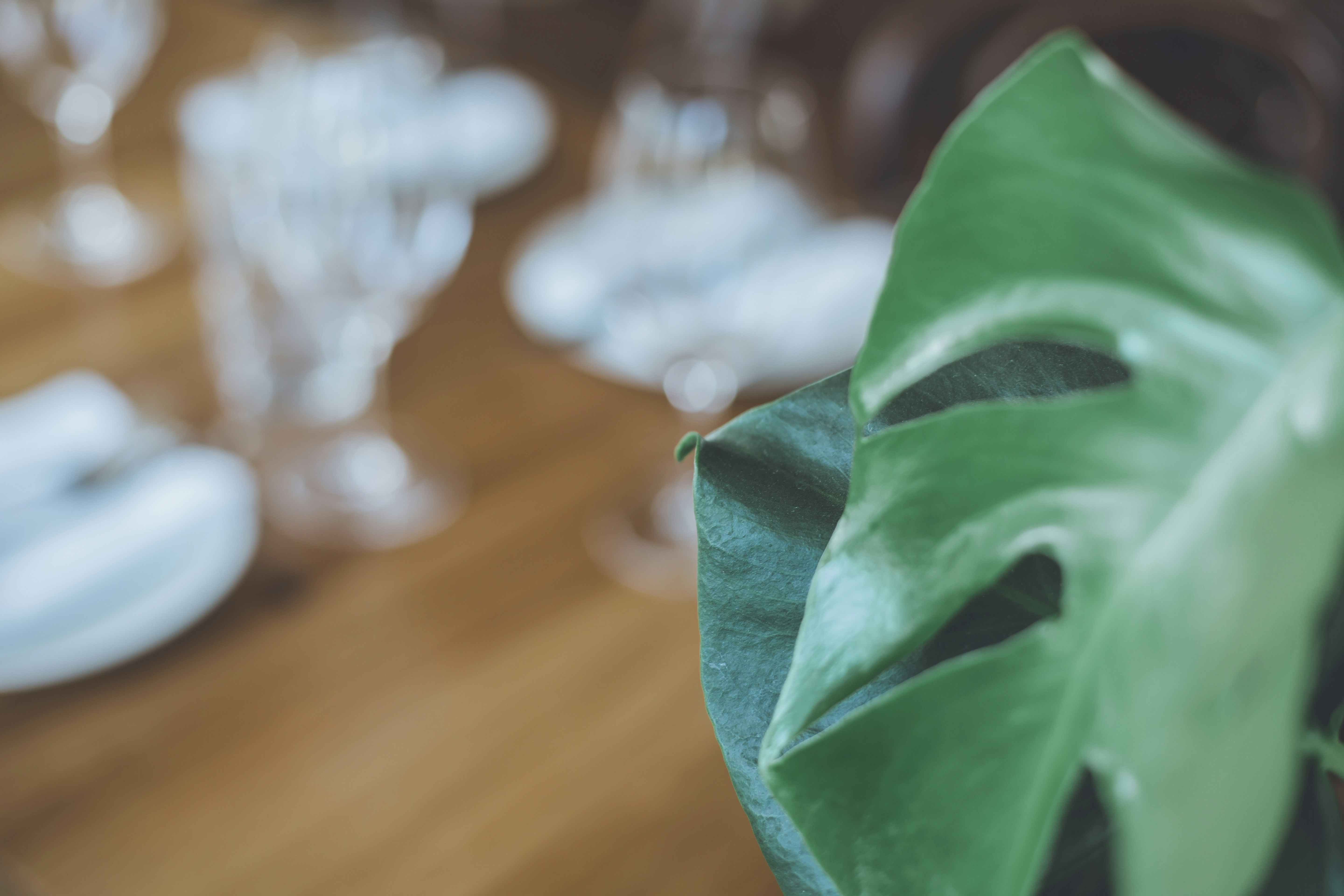 Photo by i_am_simoesse