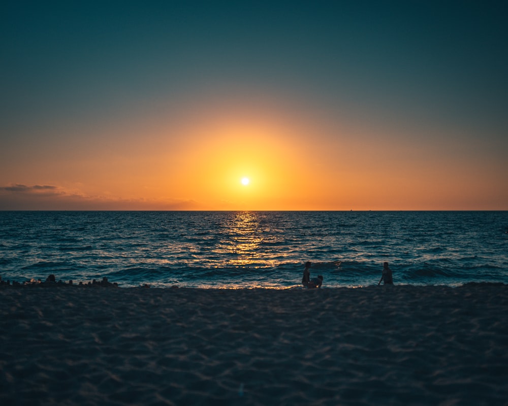 Foto Silhueta de pessoas jogando vôlei de praia durante o pôr do sol –  Imagem de Humano grátis no Unsplash