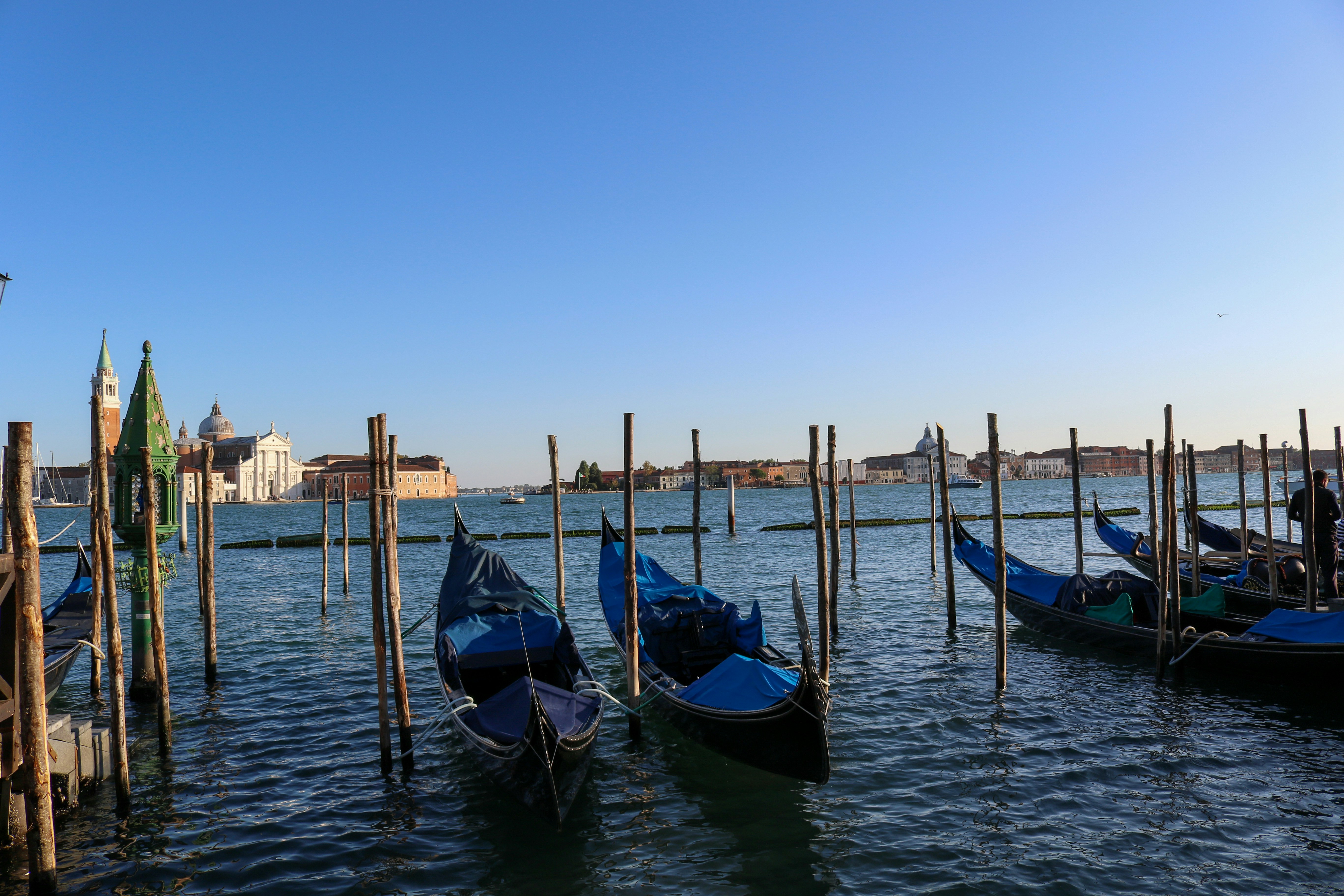 Photo by catt_titude