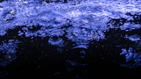 Close-up of sound waves illuminated on a dark screen reflecting vibrant blue and red hues.