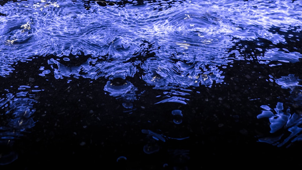A vibrant digital wave in electric blue and violet flowing across a dark background.